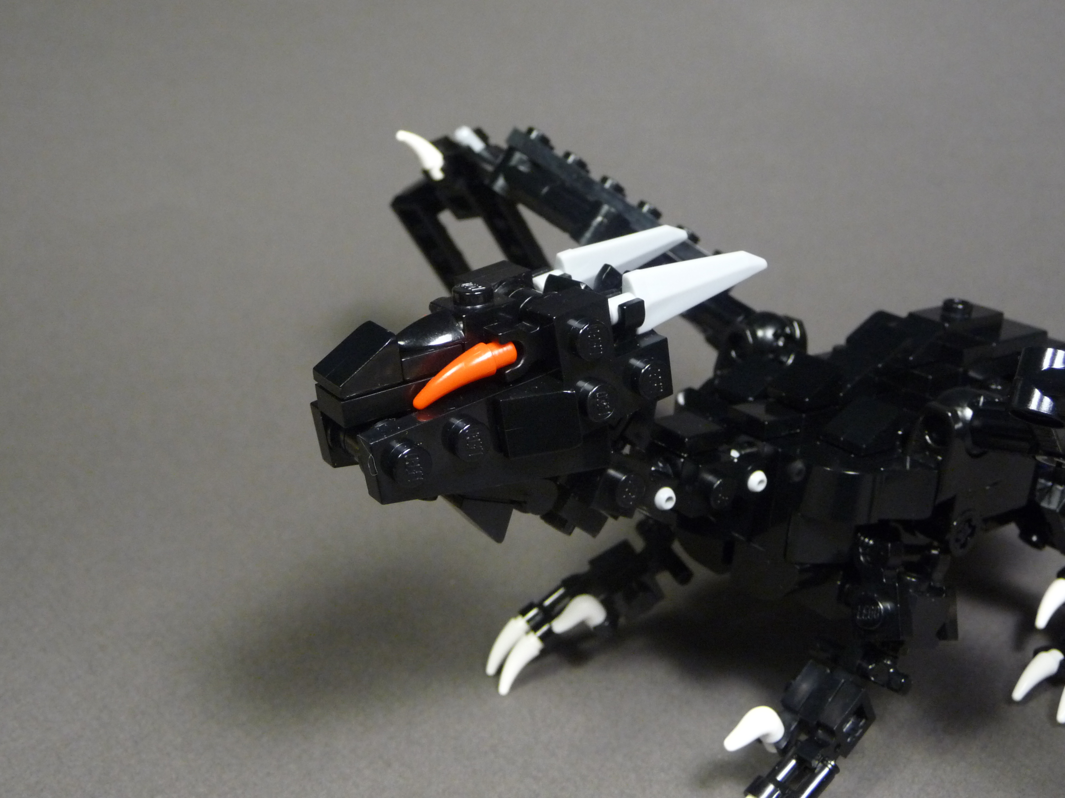 midnight_shadow02.jpg