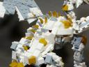 palladio_dragon05.jpg