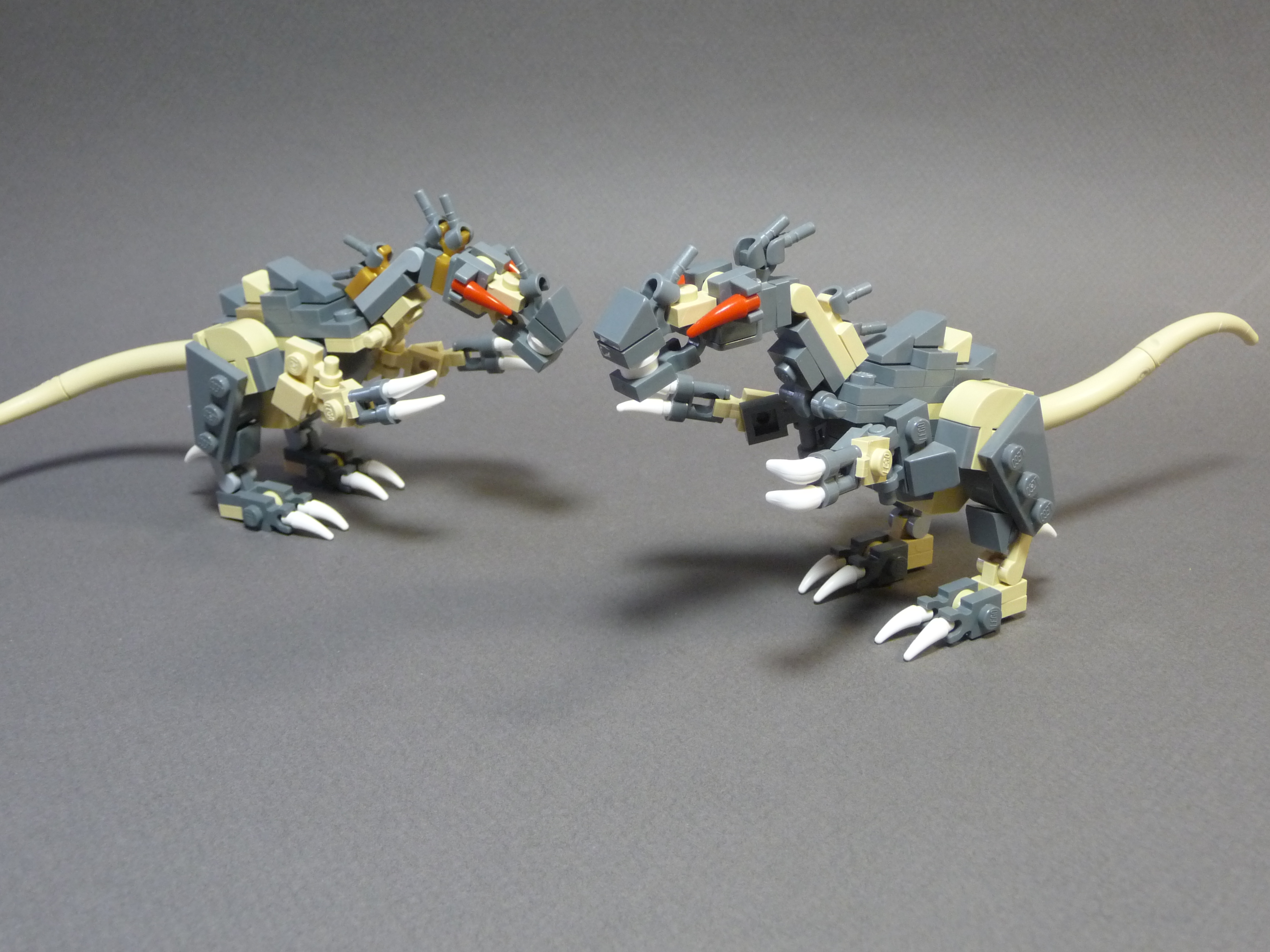 unexpected_treasure_21_mummified_raptors.jpg