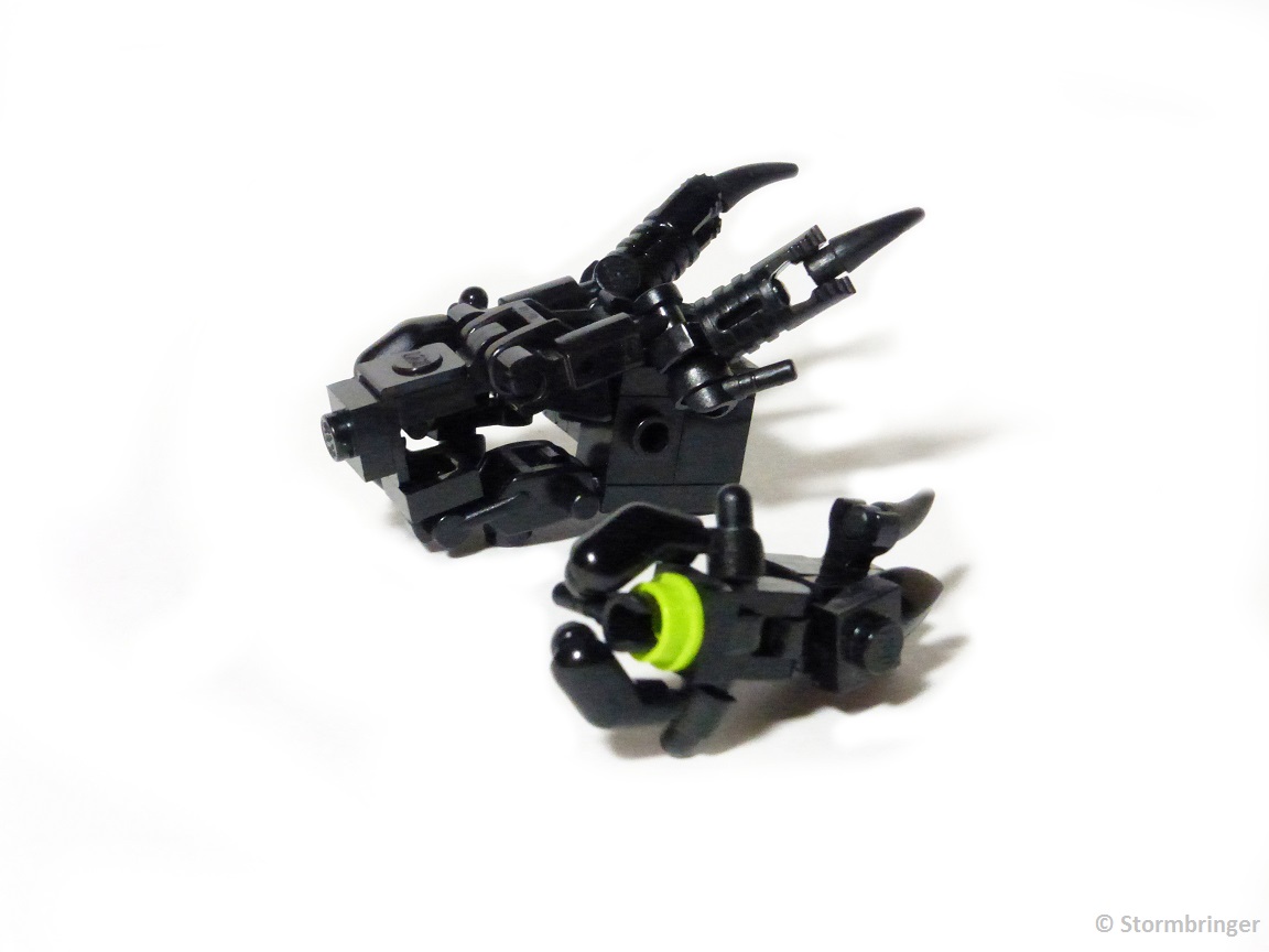 1-head-24.jpg