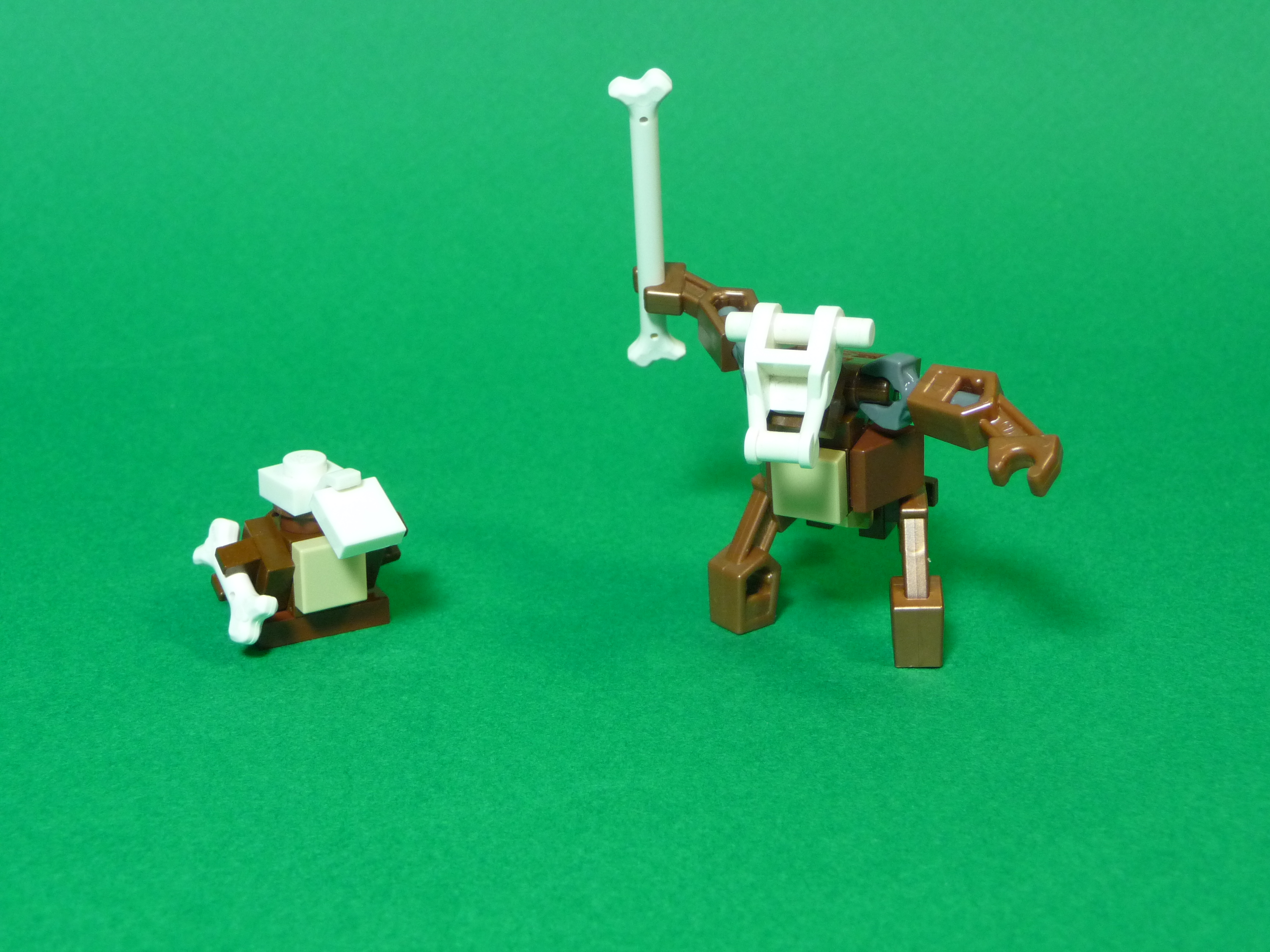 pokemon_marowak00.jpg