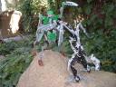 mantis2.jpg