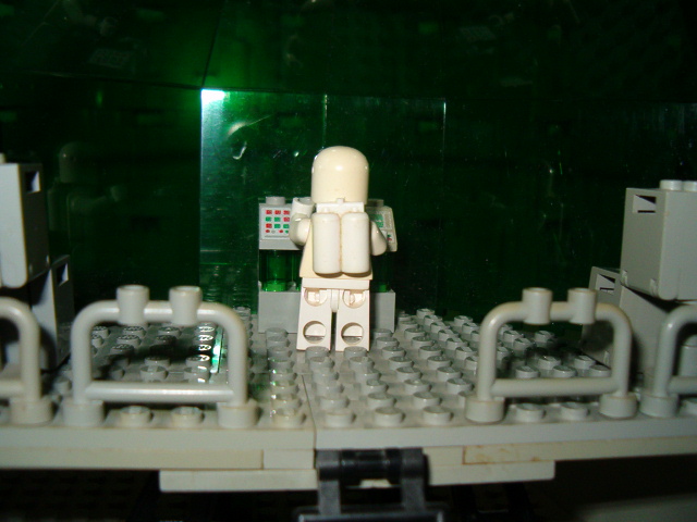 v1basegrisevf_006.jpg