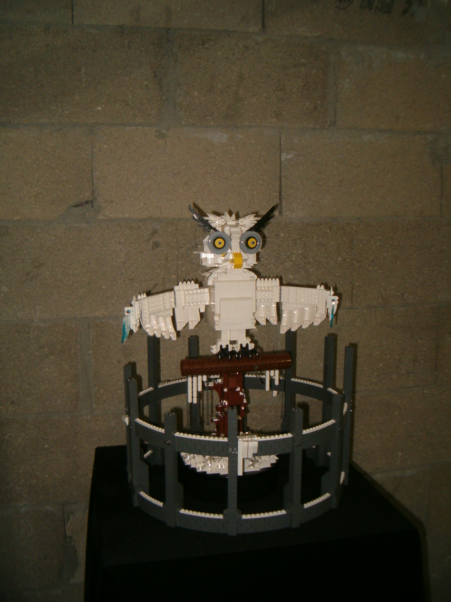 expo176.jpg