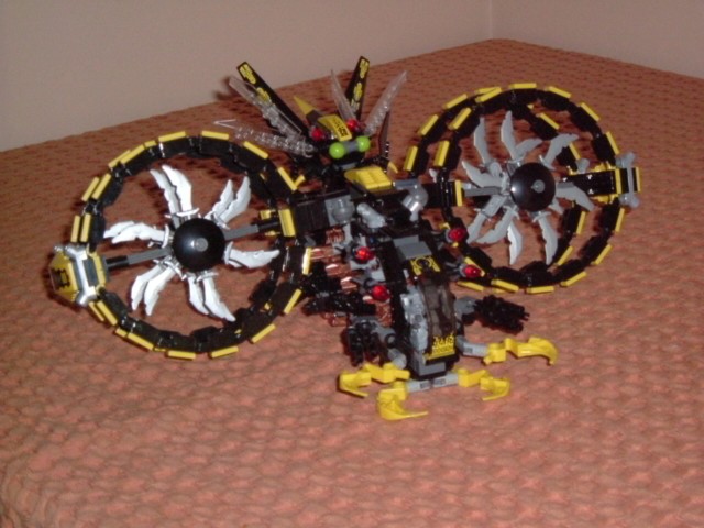 8117_001.jpg
