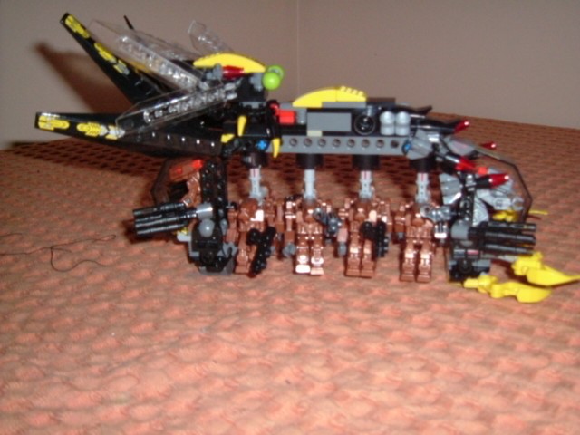 8117_004.jpg
