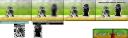 short2.png