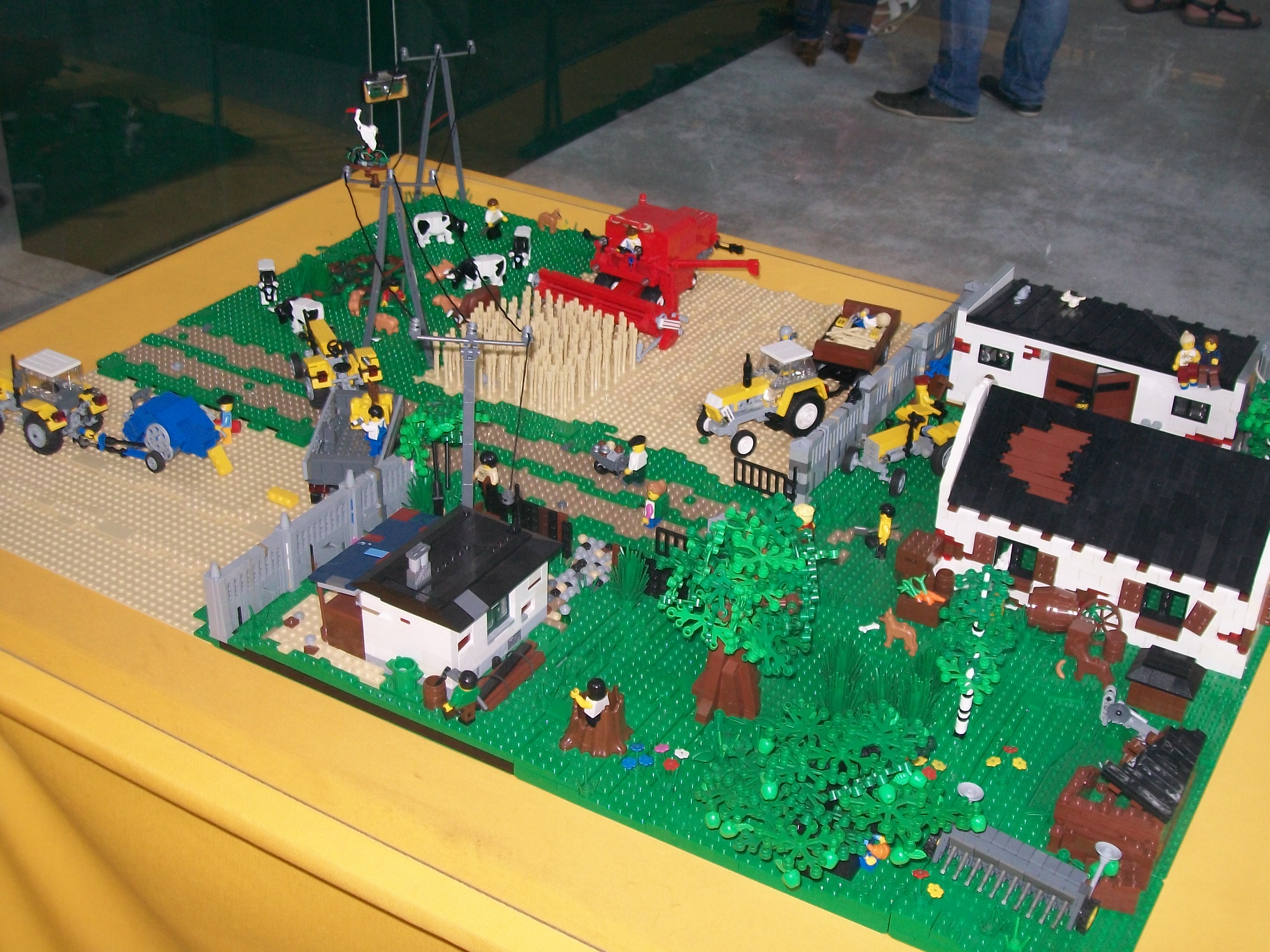 114_3492.jpg