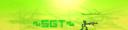 bannersgt.png
