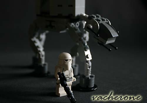 img_5441.jpg
