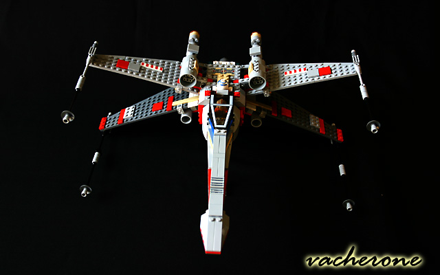 img_9787.jpg