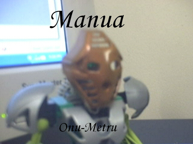 manua2.jpg
