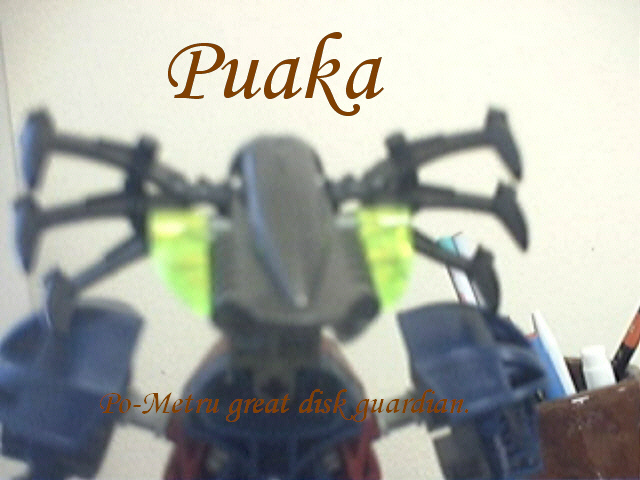 puakahead.jpg