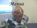manua2.jpg