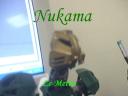 nukama2.jpg