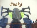 puakahead.jpg
