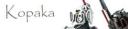 kopaka111.jpg