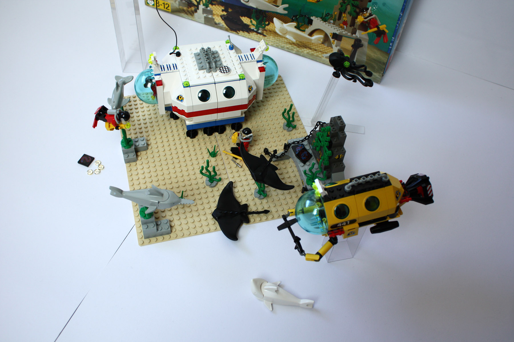 6441.11.jpg