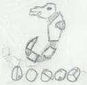 seahorse.bmp