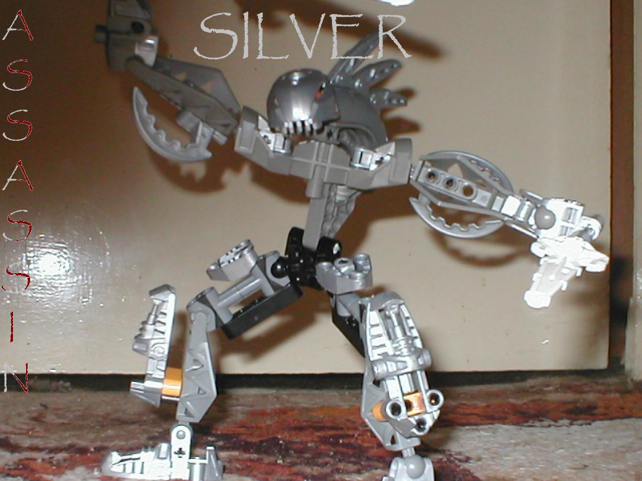 silver-closeup_2.jpg