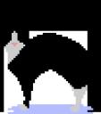 zemlanpixel.png
