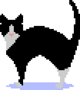 zemlanpixel.png