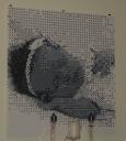 completedmosaic-image2.jpg