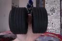 fat2.jpg