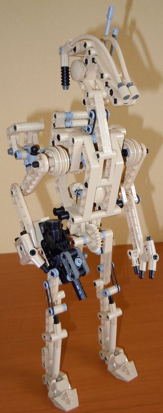 8001.jpg