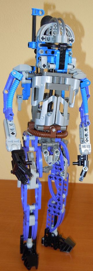 8011.jpg