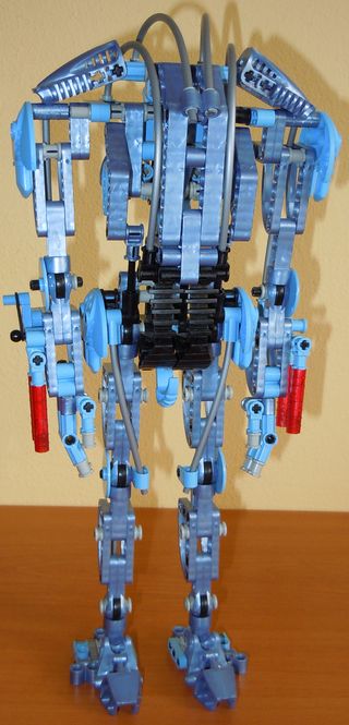 8012.jpg