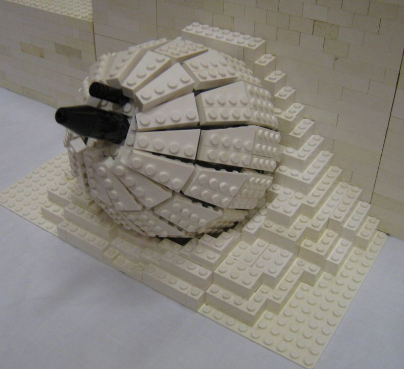 echo_base_01.jpg
