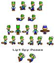 racoon_luigi.bmp