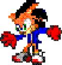 copper_the_hedghog.gif