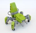 Lime-chikoma