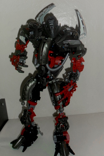 makuta3.jpg