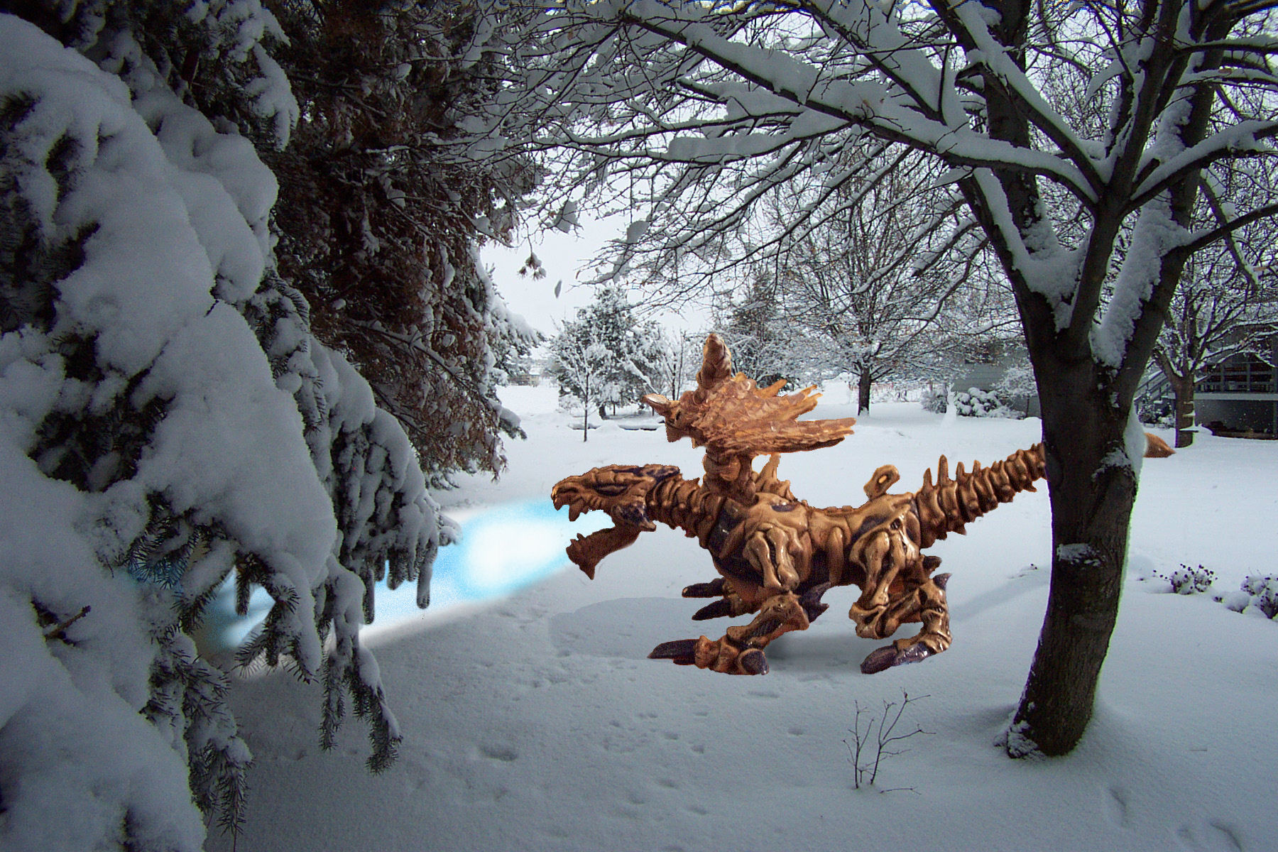 snowdragon.jpg