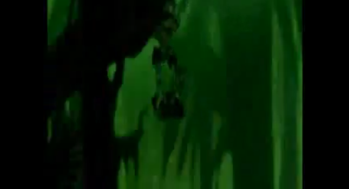 infected2.png