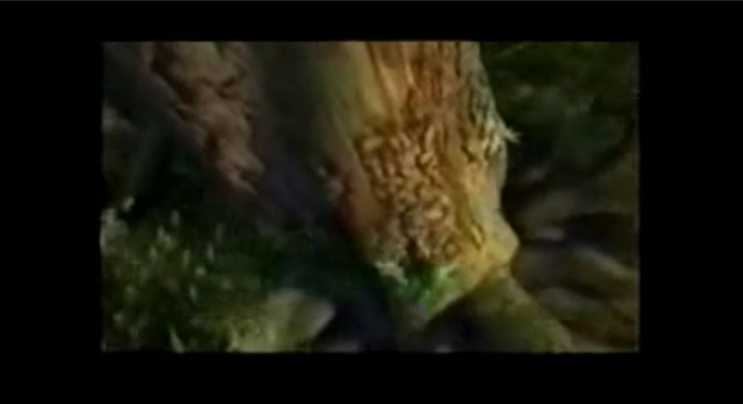 mol2.png