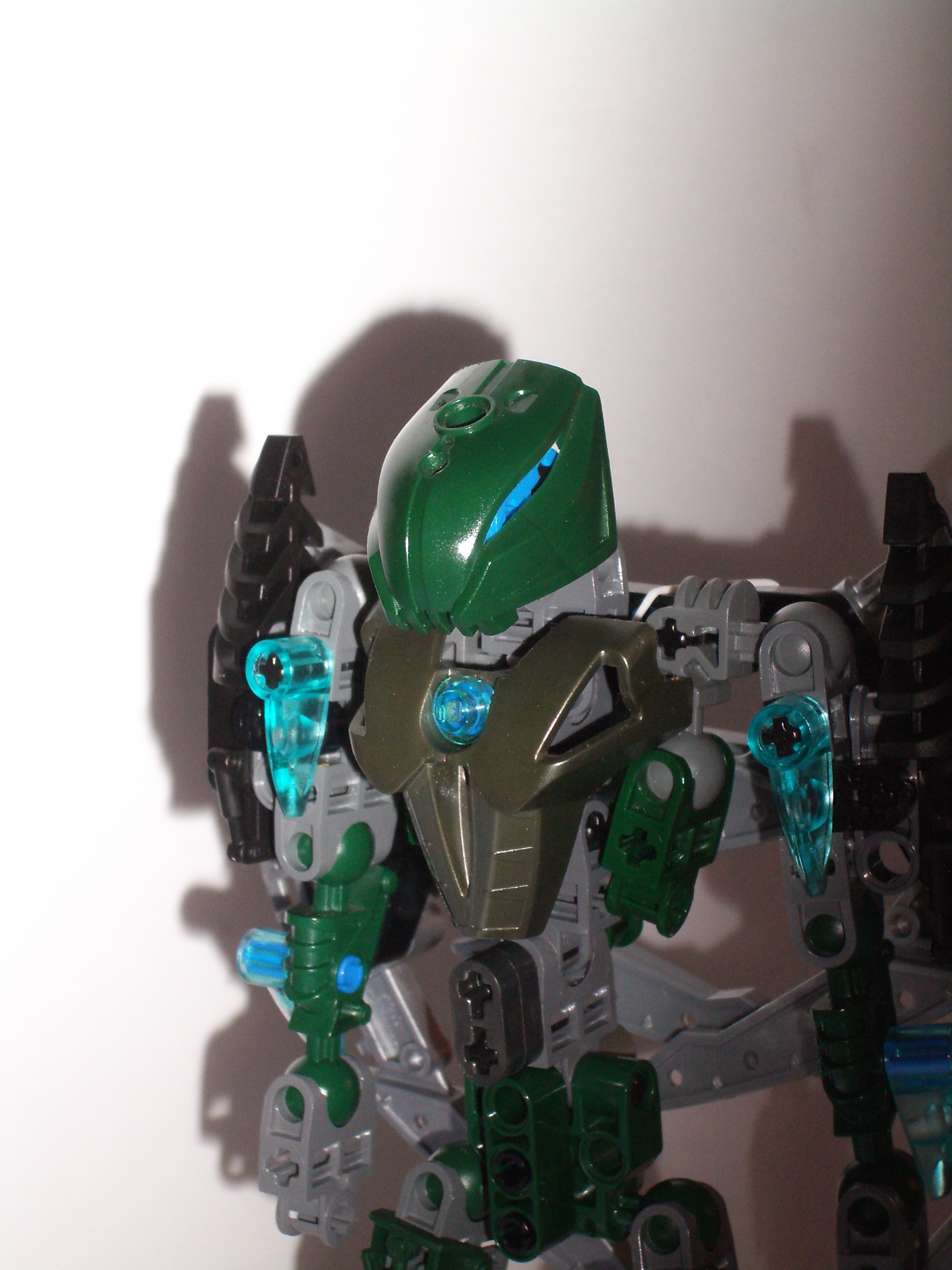 toa_hawk_face.jpg