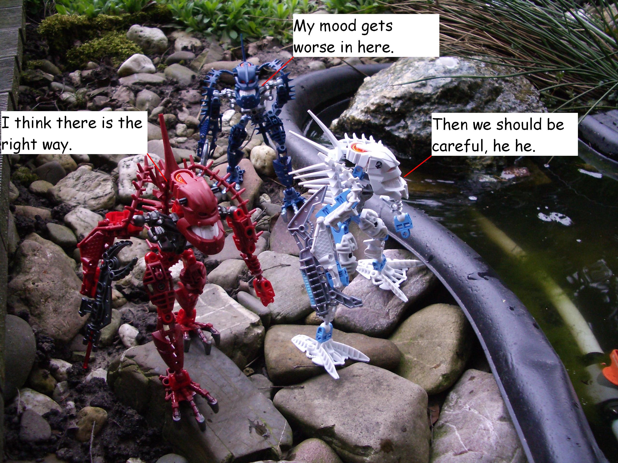 05_page_five.jpg