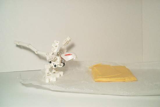 mouse08.jpg