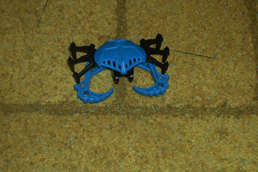 papaka01.jpg