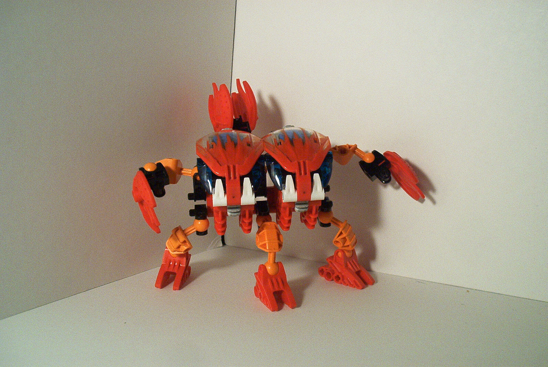 tahnok01.jpg