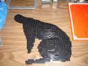 dsc01439.jpg