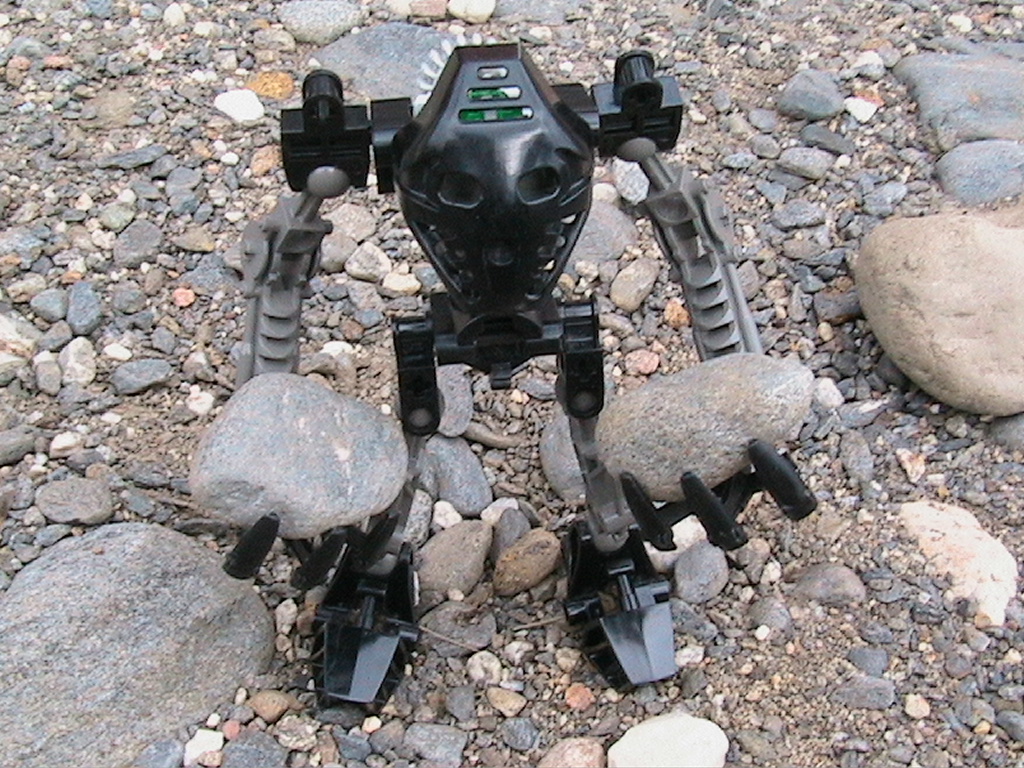 onua2.jpg