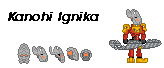 13ignika.png