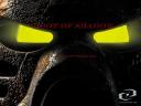 shadow_2.jpg