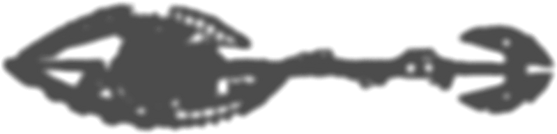 borsweaponsil.png