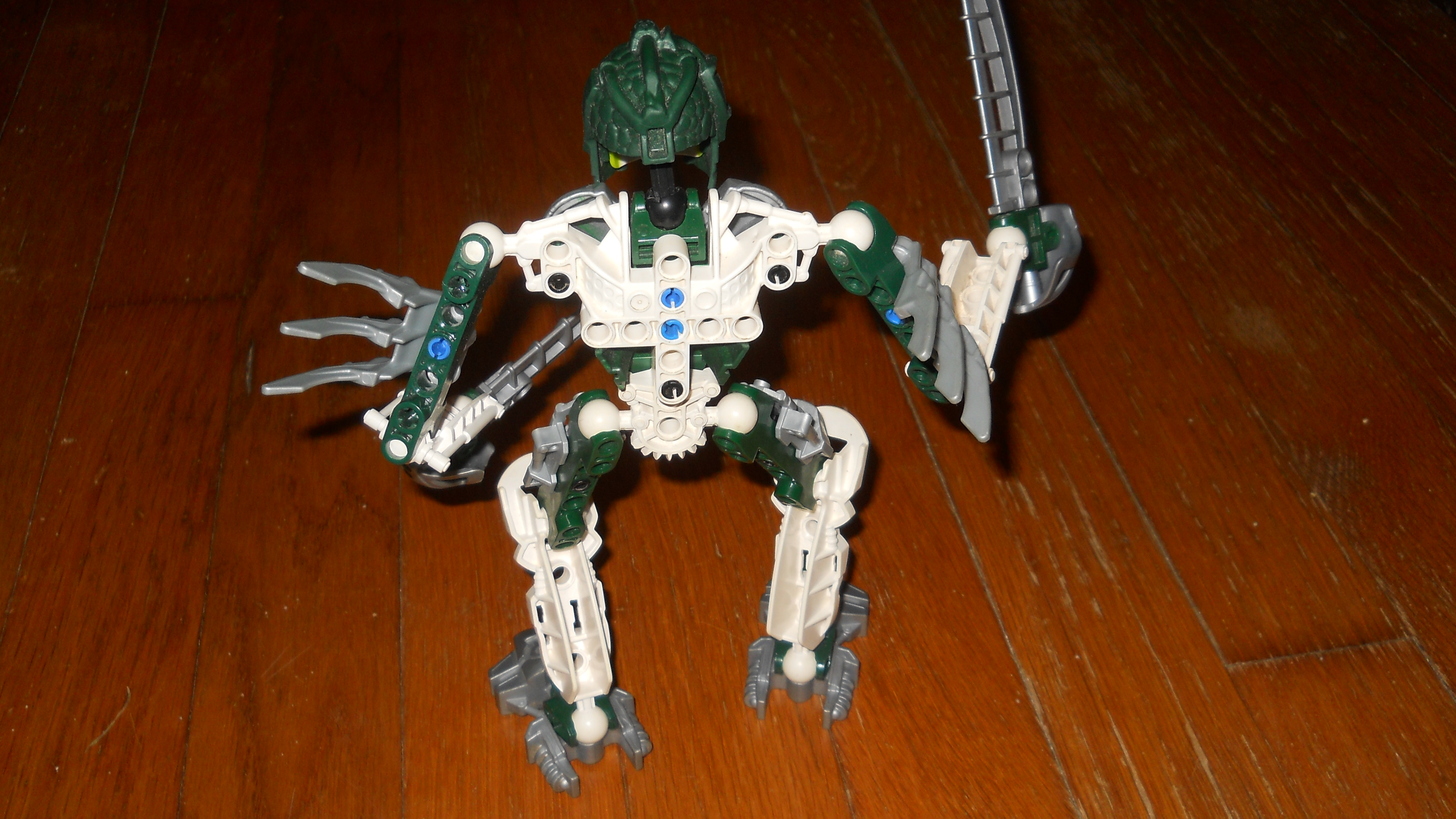 dscn0500.jpg
